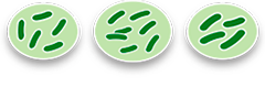 probiotics-icons