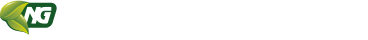 ng-logo