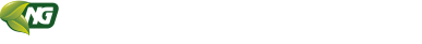 ng-logo