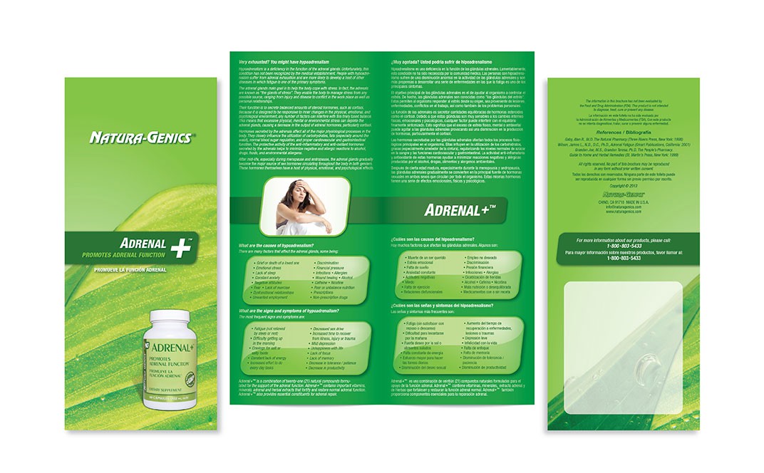7-Adrenal-layout