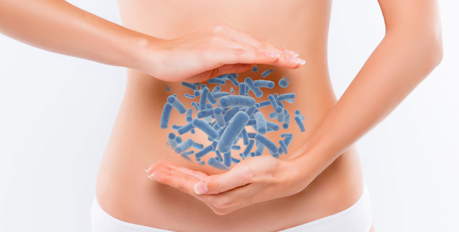 Probiotics in stomach image